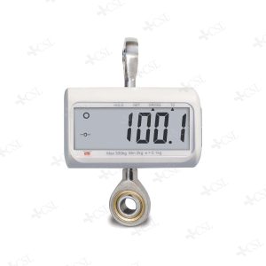 Dinamometro elettronico per sollevamalati 300 kg – Bilancino